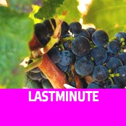 Lastminute