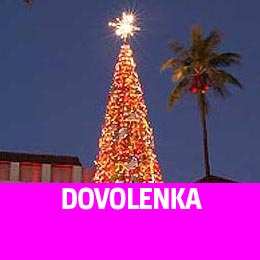 Dovolenka vianon